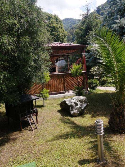 Vacation Home Nukri Gonio Extérieur photo