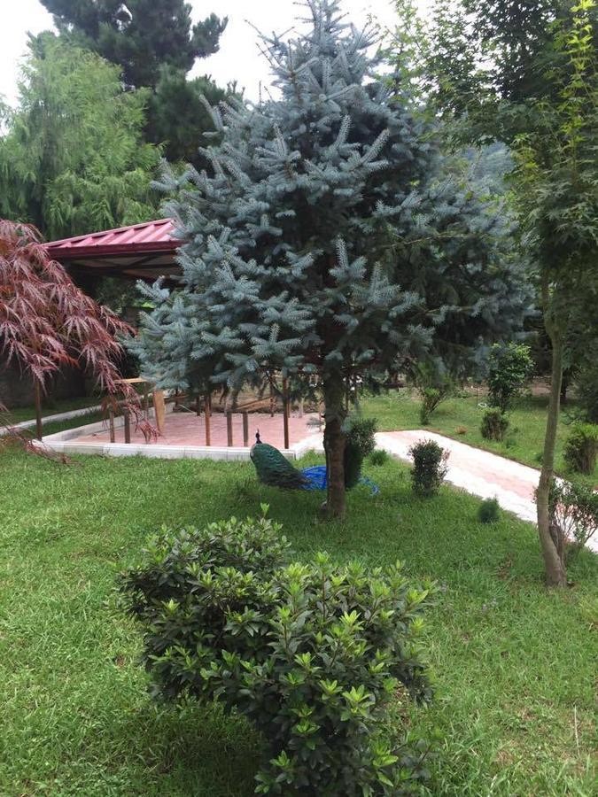 Vacation Home Nukri Gonio Extérieur photo